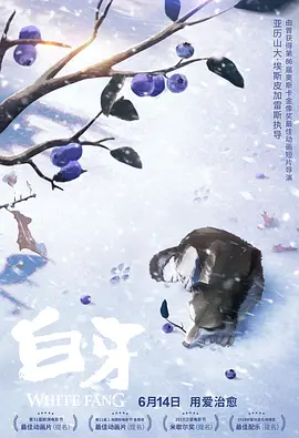 一年十二个男人