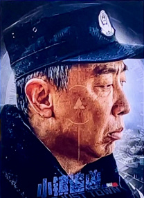 大幂幂h文系列