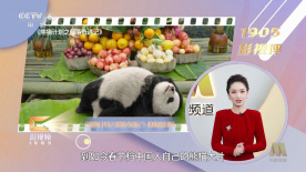 叱咤之城电视剧免费观看tv