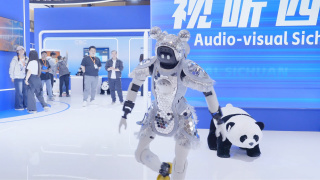 91chinesevideo
